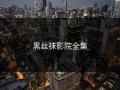 黑丝袜影院全集