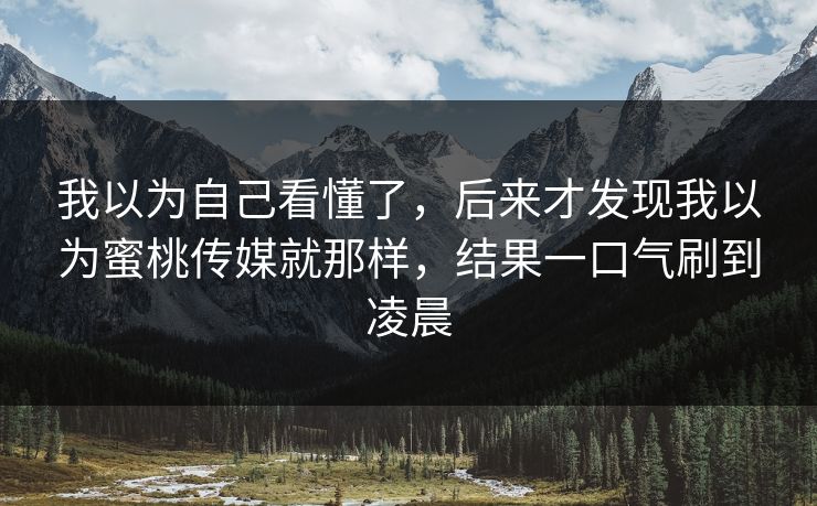 我以为自己看懂了，后来才发现我以为蜜桃传媒就那样，结果一口气刷到凌晨