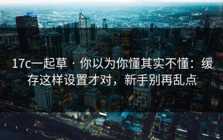 17c一起草 · 你以为你懂其实不懂：缓存这样设置才对，新手别再乱点