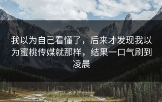 我以为自己看懂了，后来才发现我以为蜜桃传媒就那样，结果一口气刷到凌晨