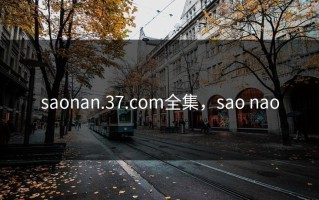 saonan.37.com全集，sao nao