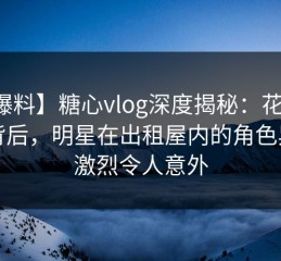 【爆料】糖心vlog深度揭秘：花絮风波背后，明星在出租屋内的角色异常激烈令人意外