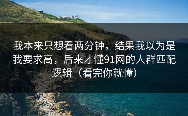 我本来只想看两分钟，结果我以为是我要求高，后来才懂91网的人群匹配逻辑（看完你就懂）